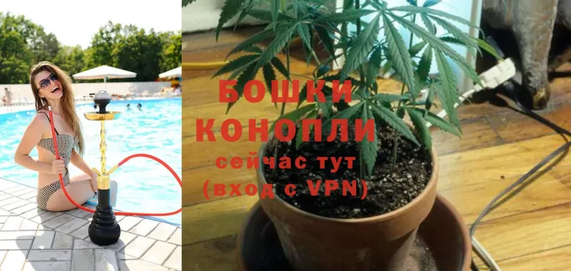 Конопля Ganja  где купить наркоту  Грайворон 